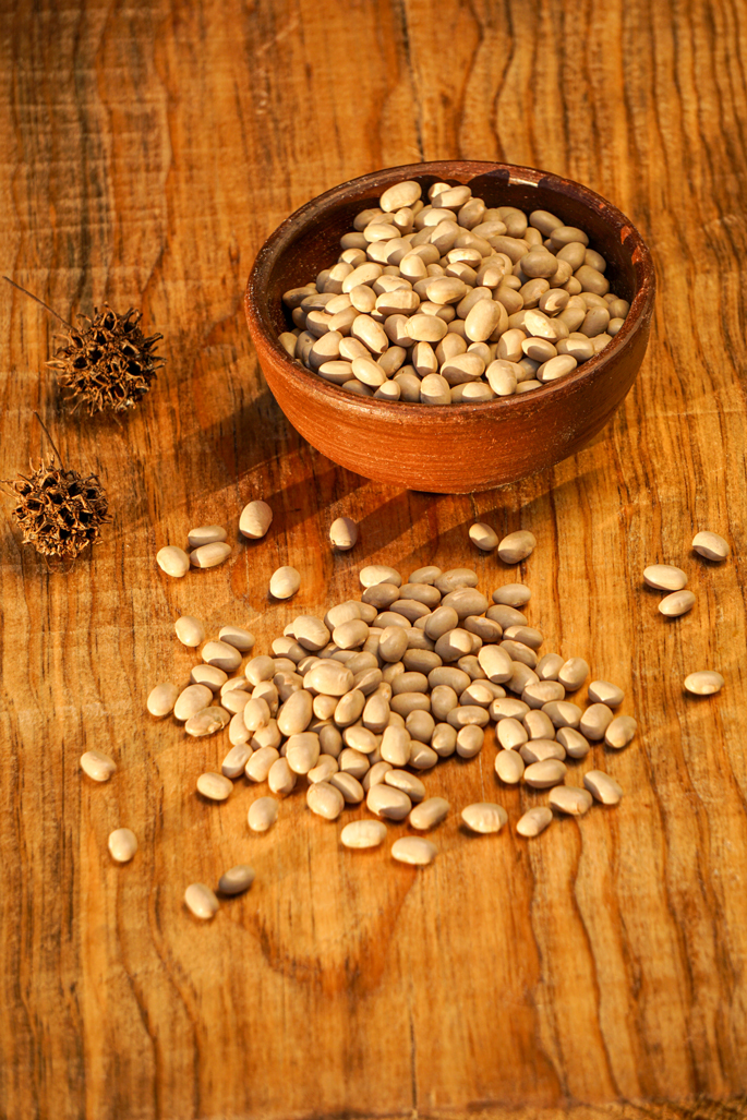 Porotos