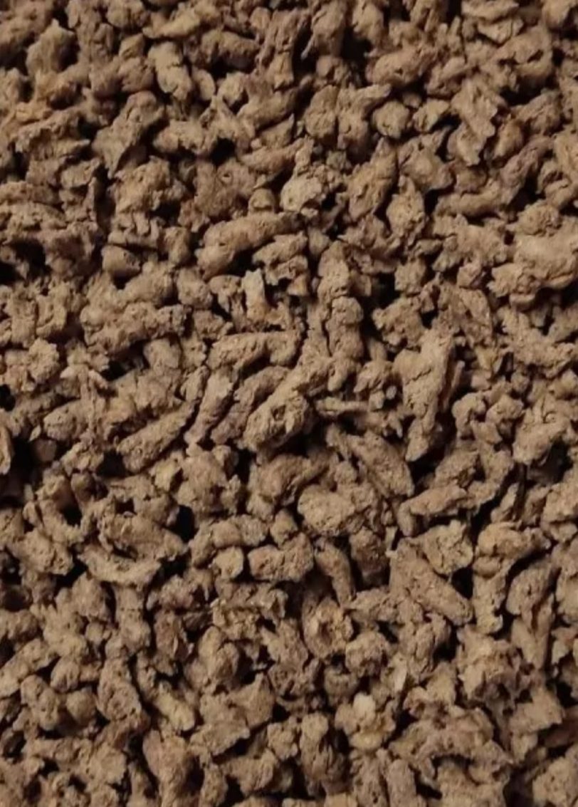 Carne vegetal (soya organica)